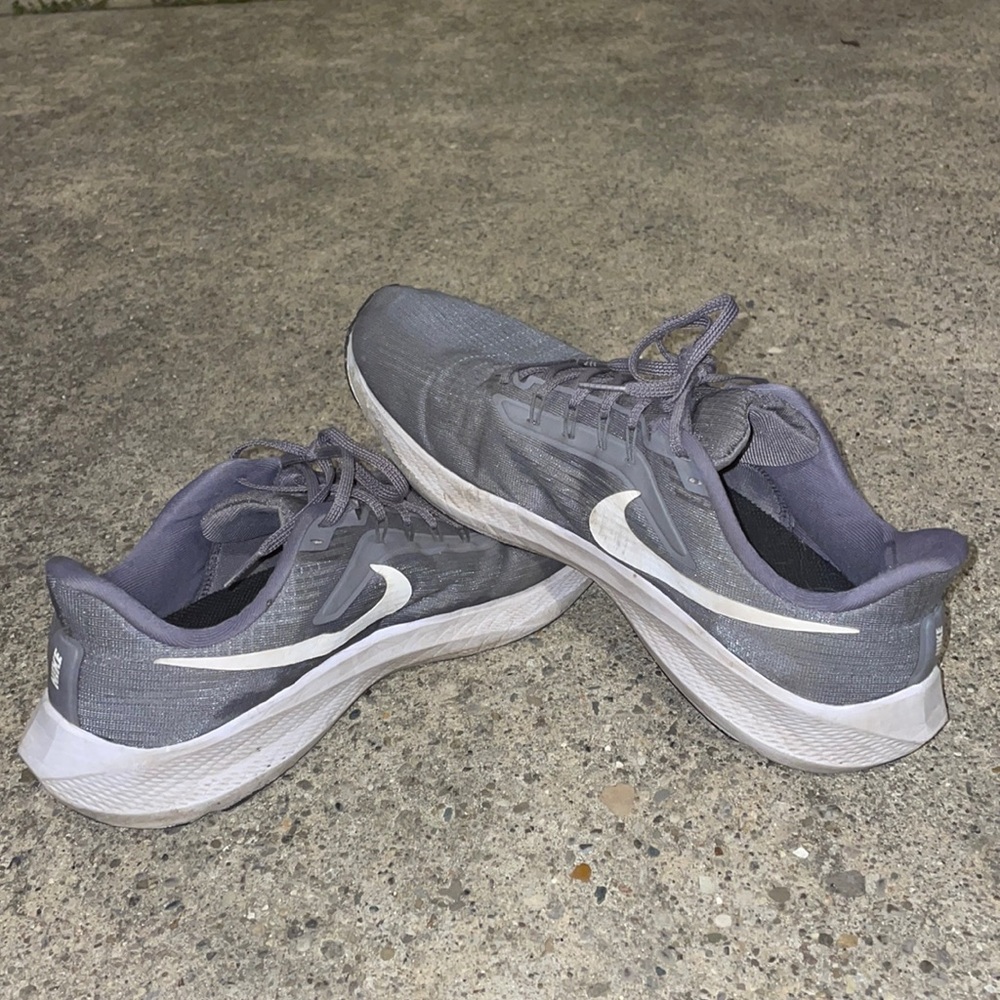 Air Zoom Pegasus 39